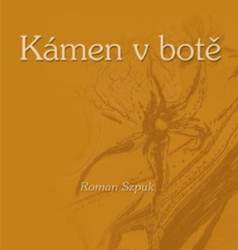 Kámen v botě : haiku 2007-2011