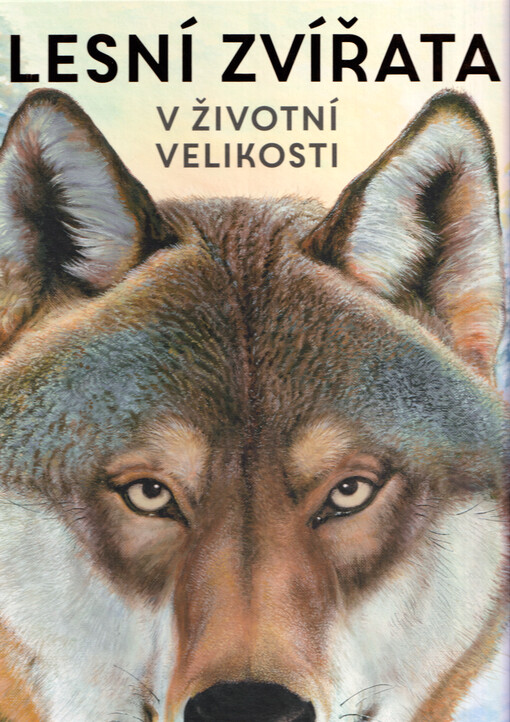 Lesní zvířata v životní velikosti