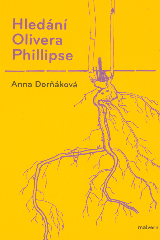 Hledání Olivera Phillipse