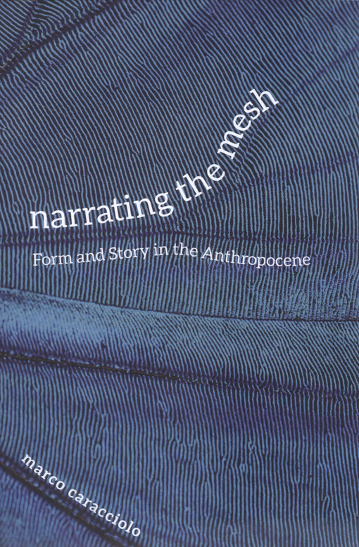 Narrating the mesh : form and story in the anthropocene