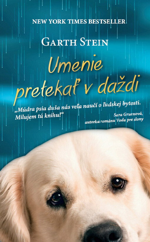 Umenie pretekať v daždi, Vydanie I.