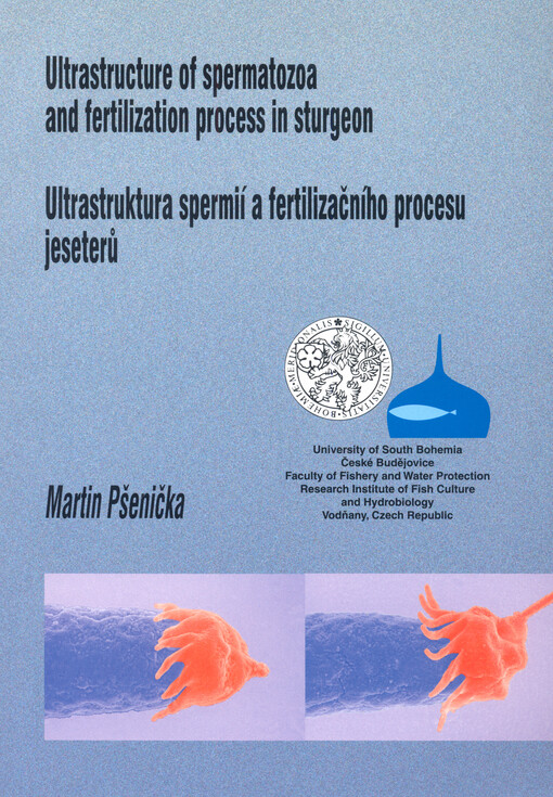 Ultrastructure of spermatozoa and fertilization process in sturgeon = Ultrastruktura spermií a fertilizačního procesu jeseterů