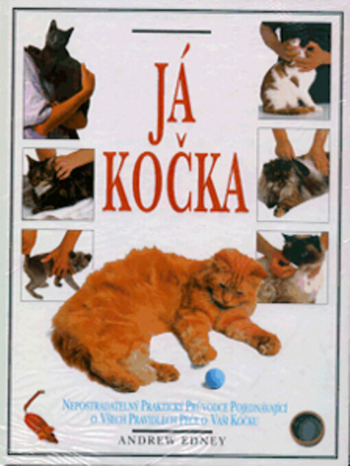 Já, kočka
