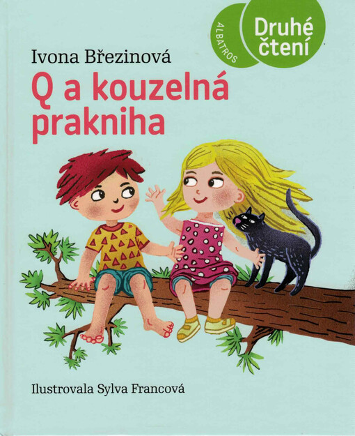 Q a kouzelná prakniha