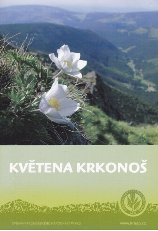 Květena Krkonoš