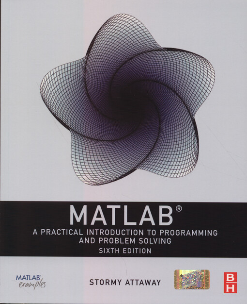 MATLAB : a practical introduction to programming and problem solving
