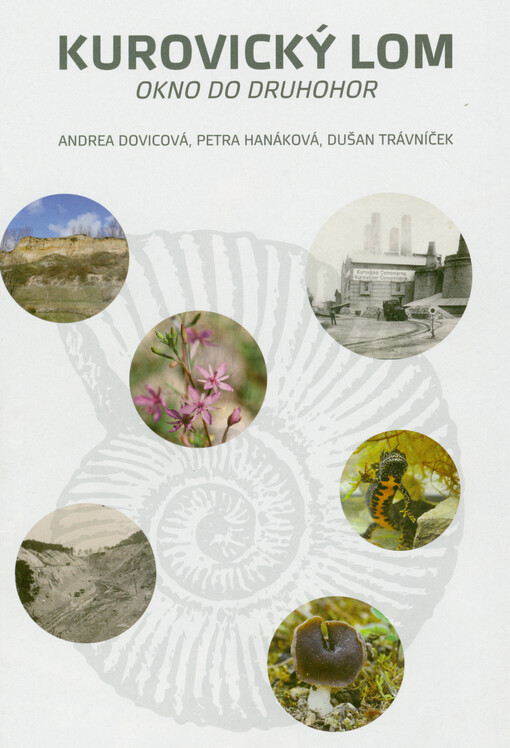 Kurovický lom, okno do druhohor