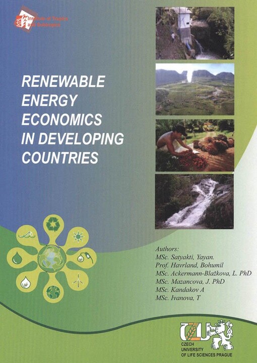 Renewable energy economics in developing countries