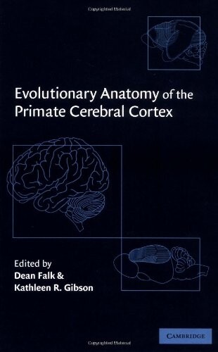 Evolutionary Anatomy of the Primate Cerebral Cortex