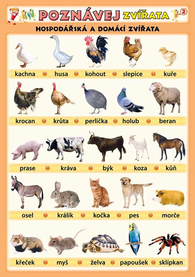 Poznávej zvířata. Hospodářská a domácí zvířata, Volně žijící zvířata