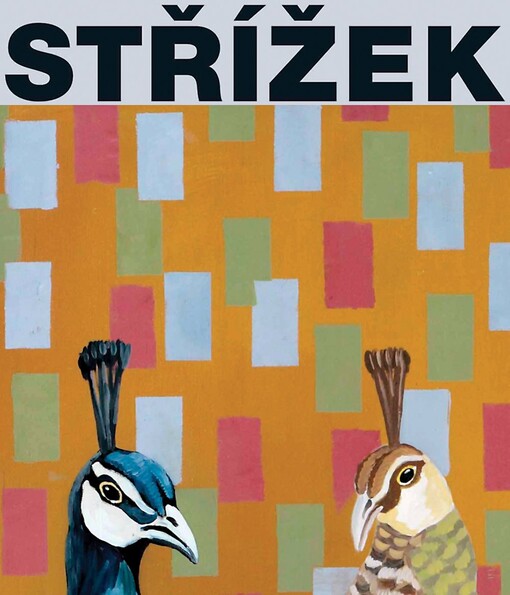 Antonín Střížek : obrazy = paintings