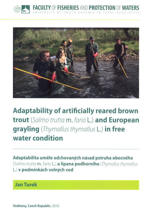 Adaptability of artificially reared brown trout (Salmo trutta m. fario L.) and European grayling (Thymallus thymallus L.) in free water condition =Adaptabilita uměle odchovaných násad pstruha obecného (Salmo trutta m. fario L.) a lipana podhorního (Thymallus thymallus L.) v podmínkách volných vod