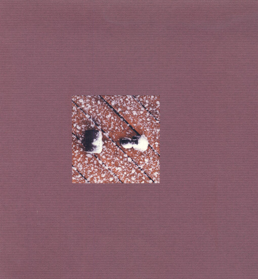 Daniel Reynek : mezi psem a vlkem : fotografie z let 1963-1987 = entre chien et loup : photographies des années 1963-1987 : [Galerie Měsíc ve dne, České Budějovice, 2.12.-30.12.2005