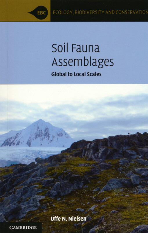 Soil fauna assemblages : global to local scales