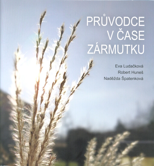 Průvodce v čase zármutku