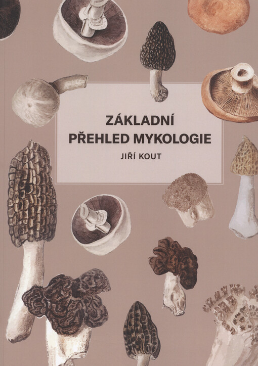 Základní přehled mykologie