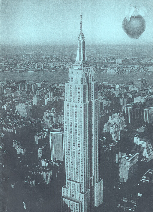 Jak se kouše do Velkého jablka, aneb, New York ze všech stran