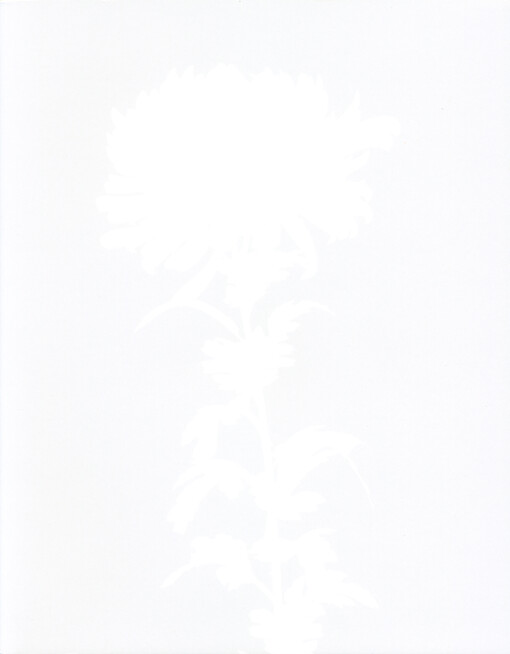 Hledání Šlapanické víry : společenství, rituály, paměť