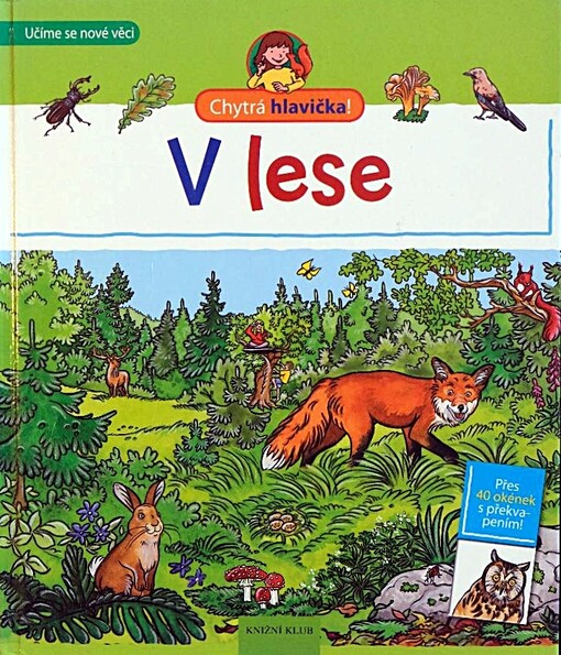 V lese