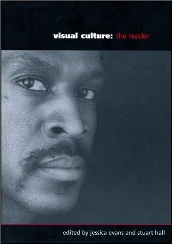 Visual culture : the reader