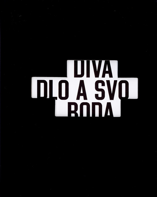 Divadlo a svoboda : první dekáda nezávislosti českého divadla po roce 1989