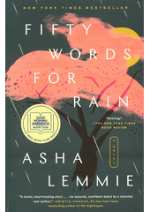 Fifty words for rain : a novel  (odkaz v elektronickém katalogu)