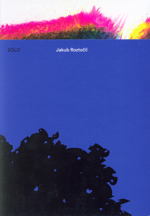 Jakub Roztočil : sólo