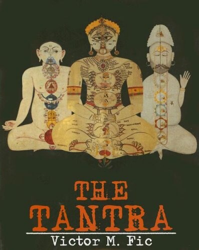 Tantra: Its Origin, Theories, Art and Diffusion From India to Nepal, Tibet, Mongolia, China, Japan and Indonesia