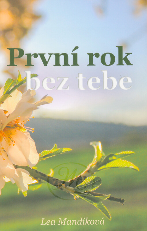 První rok bez tebe