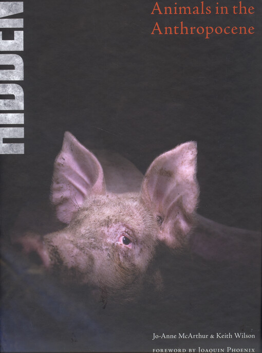 Hidden : animals in the anthropocene