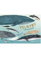 Velryby : malovaný oceán  (odkaz v elektronickém katalogu)