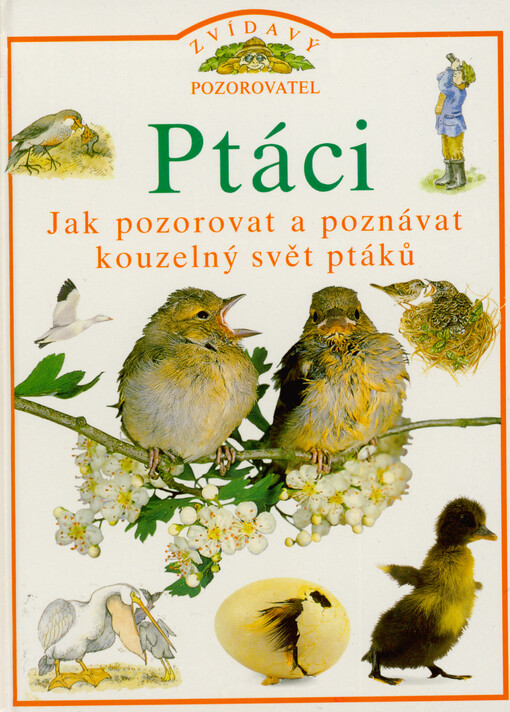 Ptáci