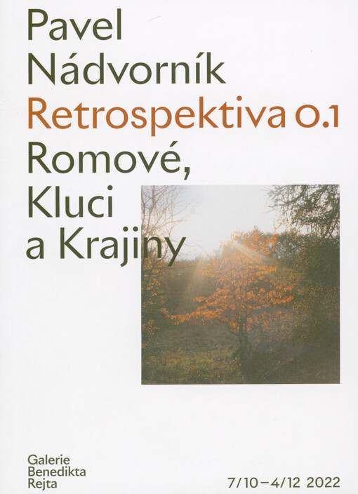Pavel Nádvorník : retrospektiva 0.1 : Romové, kluci a krajiny : Galerie Benedikta Rejta, 7.10.-4.12.2022