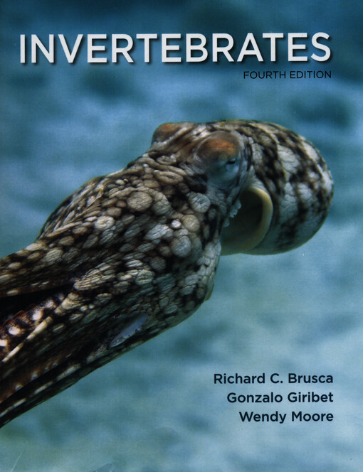 Invertebrates
