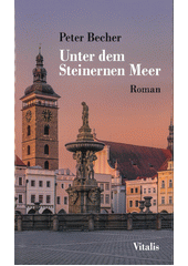Unter dem Steinernen Meer : ein deutsch-tschechischer Roman  (odkaz v elektronickém katalogu)