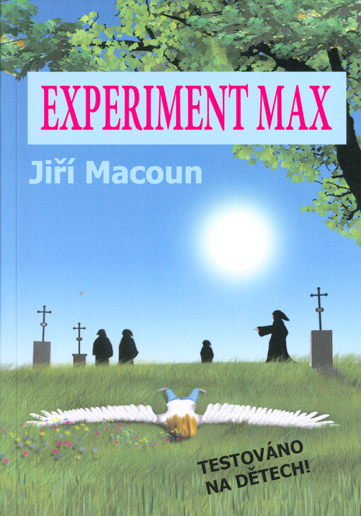 Experiment Max