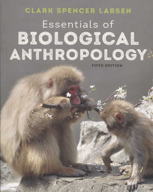 Essentials of biological anthropology