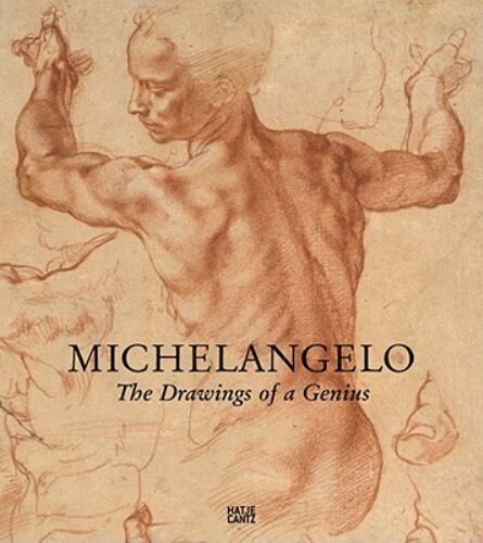 Michelangelo :the drawings of a genius