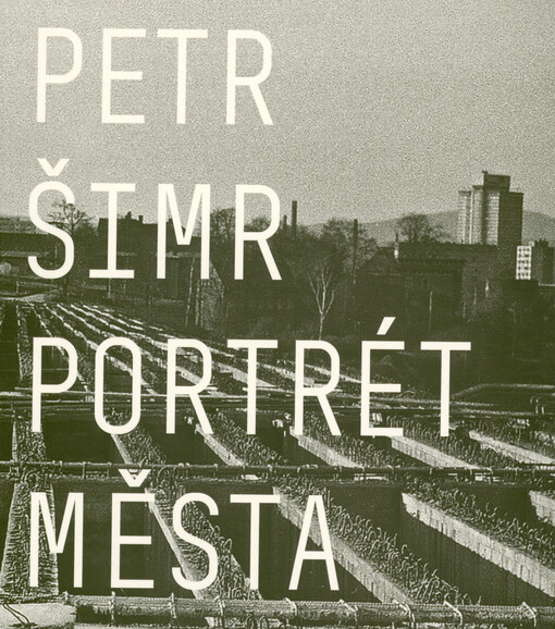 Petr Šimr : portrét města