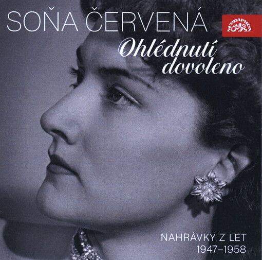 Ohlédnutí dovoleno