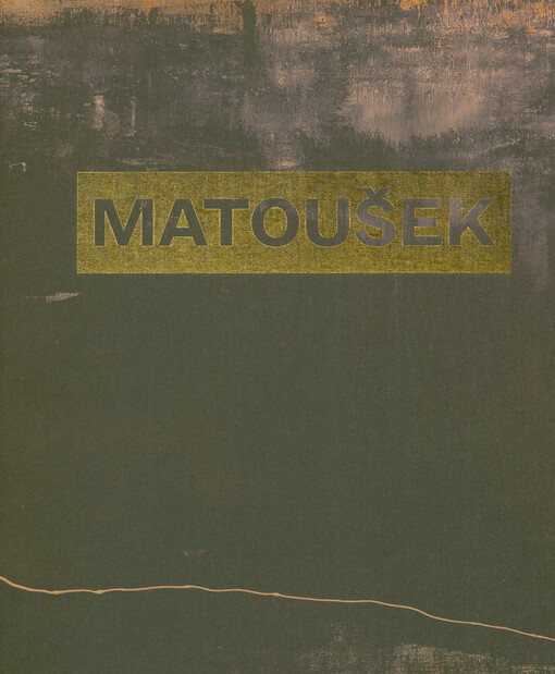 Martin Matoušek : průhledy = glimpses