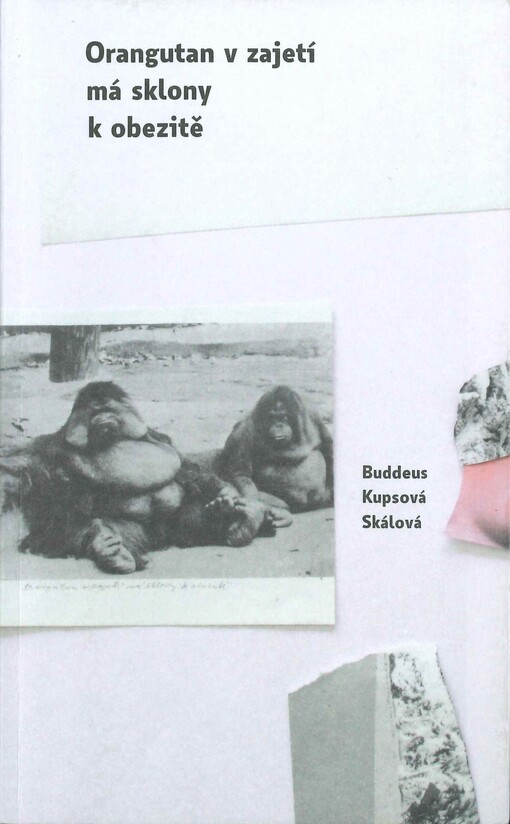 Orangutan v zajetí má sklony k obezitě