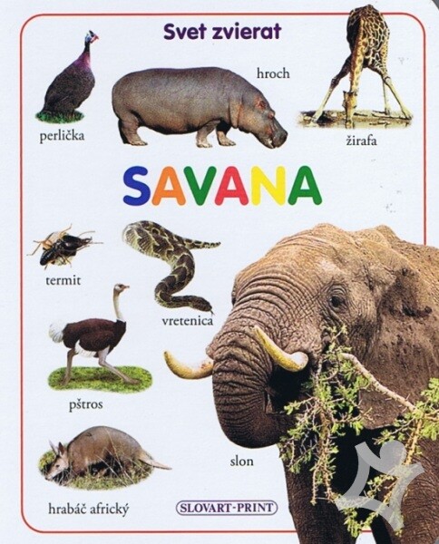 Savana - leporelo