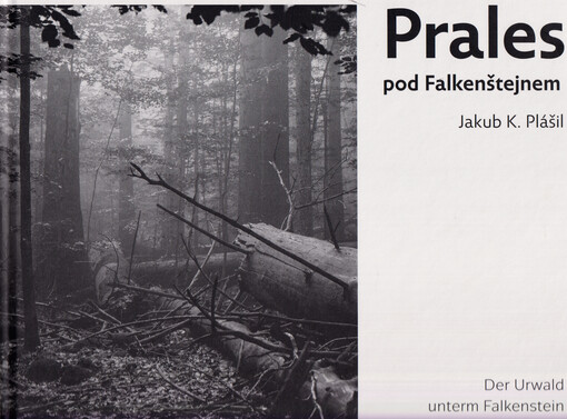 Prales pod Falkenštejnem = Der Urwald unterm Falkenstein
