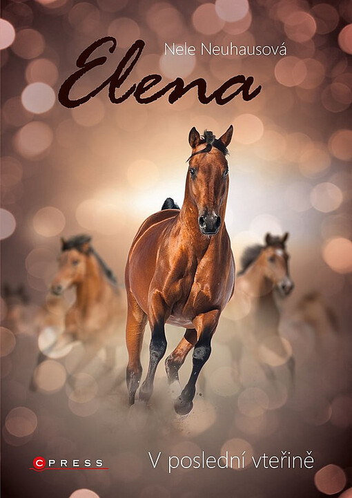 V poslední vteřině