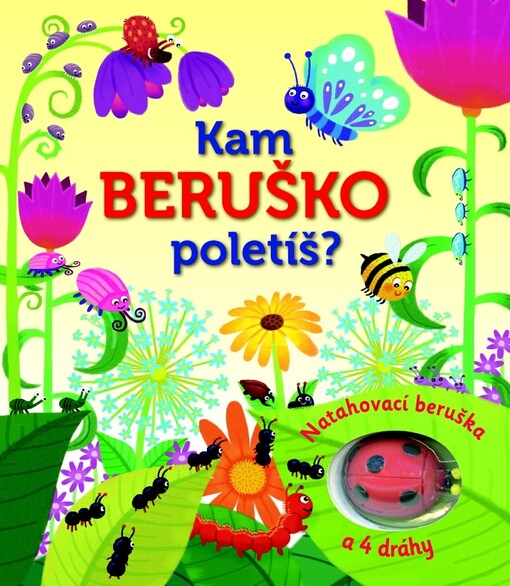 Kam beruško poletíš?