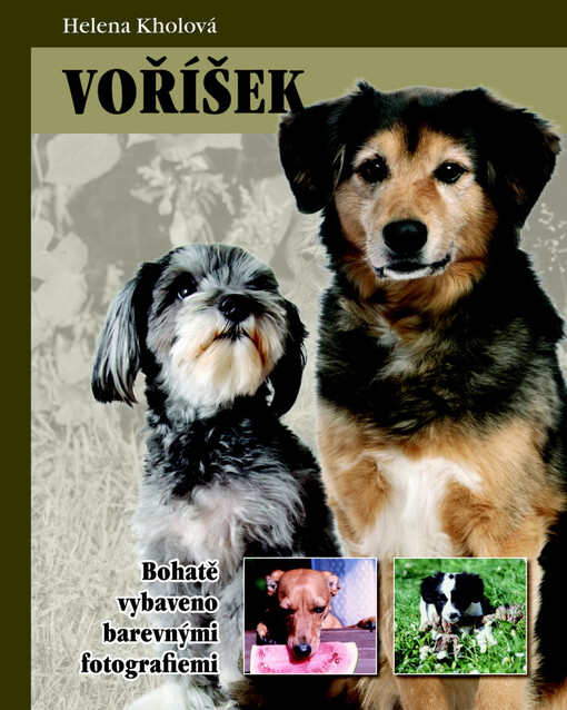 Voříšek