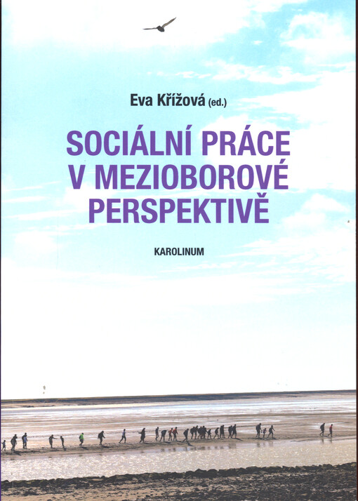 Sociální práce v mezioborové perspektivě