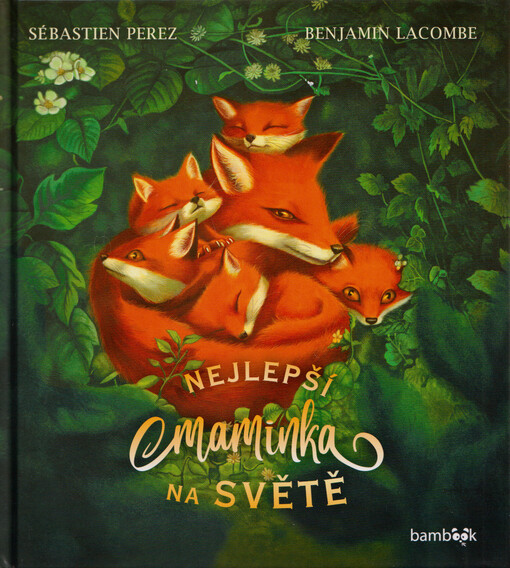 Nejlepší maminka na světě