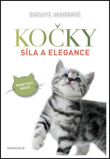Kočky :síla a elegance